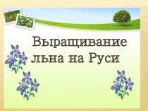Презентация к урокам краеведения `Лён`