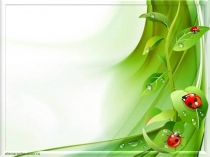 Мед-волшебный дар природы фыва