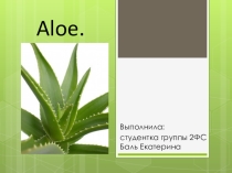 Презентация по дисциплине ОГСЭ. 03 Иностранный язык на тему: Aloe