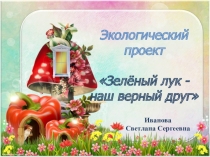 Экологический проект Зелёный лук -наш верный друг
