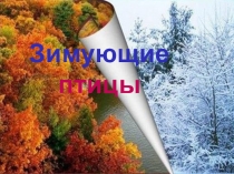 Презентация : Зимующие птицы