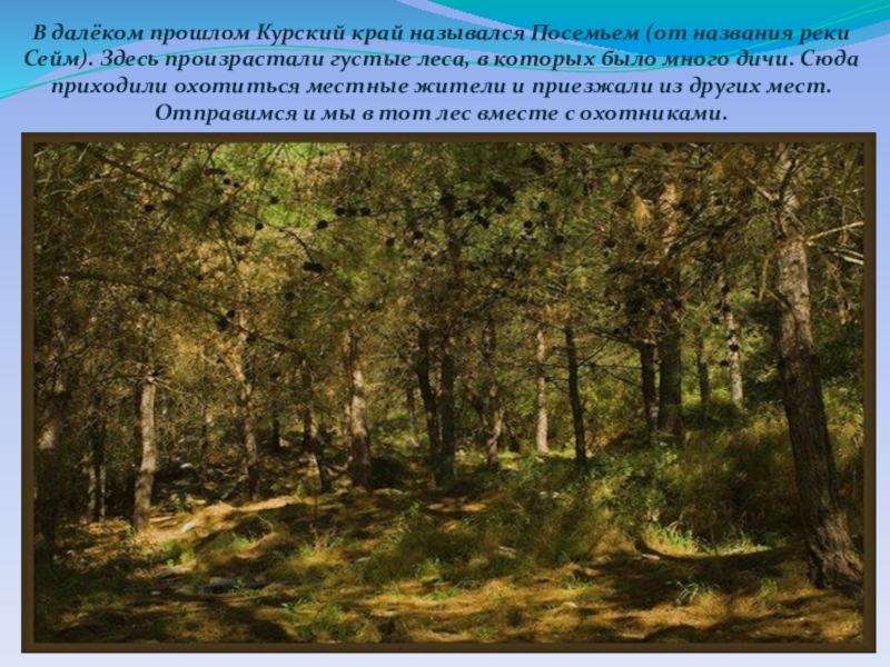Окружающий мир урок презентация В далёком прошлом Курский край назывался Посемьем (от названия реки Сейм). В далёком прошлом Курский край назывался Посемьем (от названия реки Сейм). Здесь произрастали густые леса, в которых