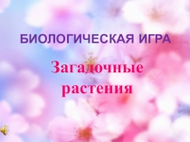 Презентация Растения