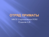 Отряд Приматы (биология, окружающий мир)