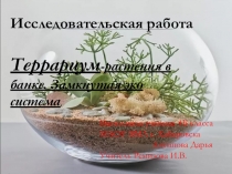 Презентация по внеурочной деятельности