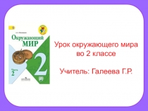 Презентация по окружающему миру на тему: Опасности дома (2 класс)