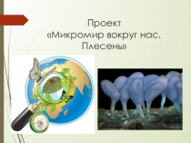 Презентация проекта по ознакомлению с окружающим миром на тему Микромир вокруг нас .Плесень