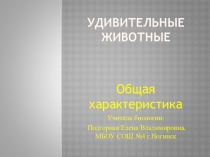 Презентация по биологии на тему Удивительные животные (7 класс)