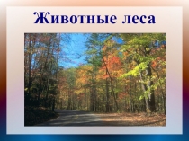Презентация по окружающему миру на тему Животные леса