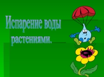 Испарение воды листьями