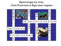 Презентация по биологии на тему Тип Кольчатые черви. Класс Многощетинковые черви