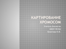 Презентация к уроку по биологии по теме Картирование хромосом изучается по теме Генетика в 10 профильного класса