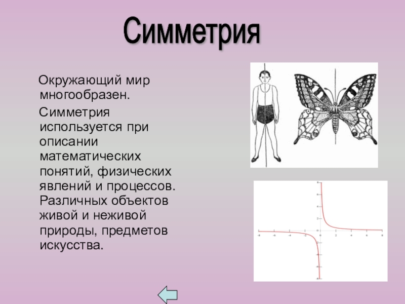 Презентация к внеклассному занятию по математике на тему Золотое сечение Окружающий мир многообразен. Симметрия используется при описании математических Окружающий мир многообразен. Симметрия используется при описании математических понятий, физических явлений и