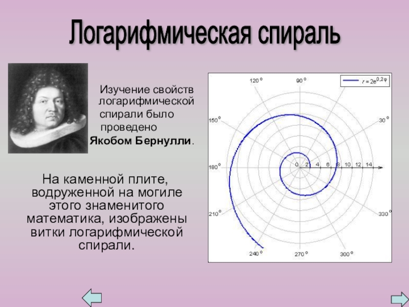 Презентация к внеклассному занятию по математике на тему Золотое сечение Изучение свойств логарифмической Изучение свойств