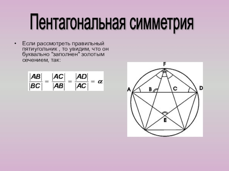 Презентация к внеклассному занятию по математике на тему Золотое сечение Если рассмотреть правильный пятиугольник , то увидим, что он буквально Если рассмотреть правильный пятиугольник , то увидим, что он буквально