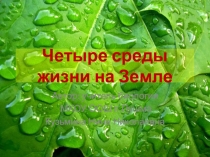 Презентация по биологии 5 класс