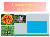 Презентация по математике на тему Симметрия в природе (6 класс)