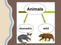 Презентация к уроку. 3 класс. Повторение. Животные.