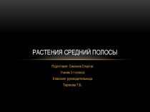 Презентация по окружающему миру на тему  Растения средней полосы России.