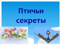 Презентация к уроку по окружающему миру по теме: Птичьи секреты