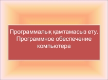 Программалық жабдықтама 11 сынып