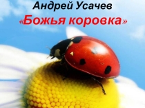 Презентация к стихотворению Божья коровка А. Усачева