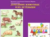 Презентация Домашние животные и их детёныши