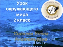 Презентация по окружающему миру на тему Водоемы Смоленской области