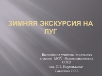 Зимняя экскурсия на луг