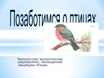 Зимующие птицы