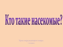 Презентация по окружающему миру на тему Кто такие насекомые? (1 класс)