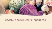 Презентация по психологии на тему Волевые психические процессы