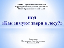 Презентация по НОД Как зимуют звери в лесу?