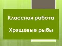 Презентация по биологии Хрящевые рыбы  (7 класс)