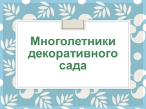 Презентация к занятию Многолетники в саду