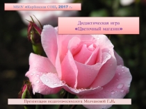 Презентация Дидактическая игра Цветочный магазин