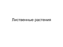 Окружающий мир Лиственные растения