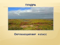 Презентация по окружающему миру на тему Тундра