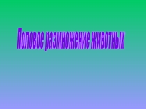 Презентация Половое размножение животных