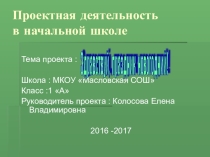 Проект Здравствуй, праздник новогодний (1 класс)