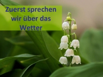 Урок с презентацией по немецкому языку в 4 классе В зоопарке