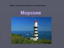 Презентация по географии на тему: Морские светофоры