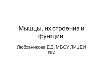 Презентация 8 класс. Мышцы: строение и функции