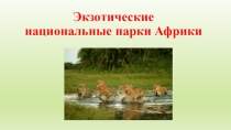 Презентация по географии на тему Национальные парки Африки