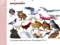 Птицы (в средней группе доу)
