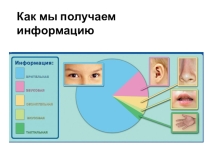 Как мы получаем информацию. Восприятие визуальной информации.