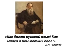 Презентация по русскому языку на тему меткие слова русского языка