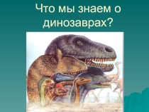 Презентация к уроку окружающего мира в 1 классе Что мы знаем о динозаврах