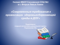 Современные требования к организации здоровьесберегающей среды в ДОУ