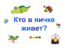 Кто в яичке живет?